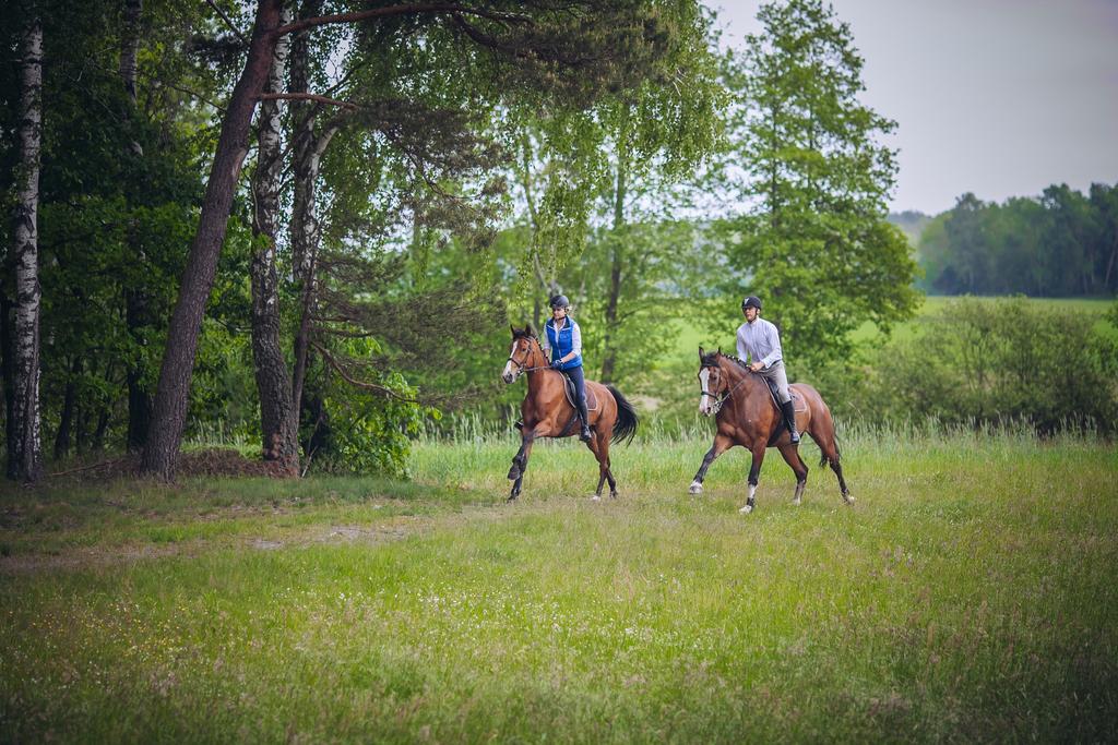 Hubertus Aparthotel & Restaurant & Horse Club Starogard Gdański Exterior foto