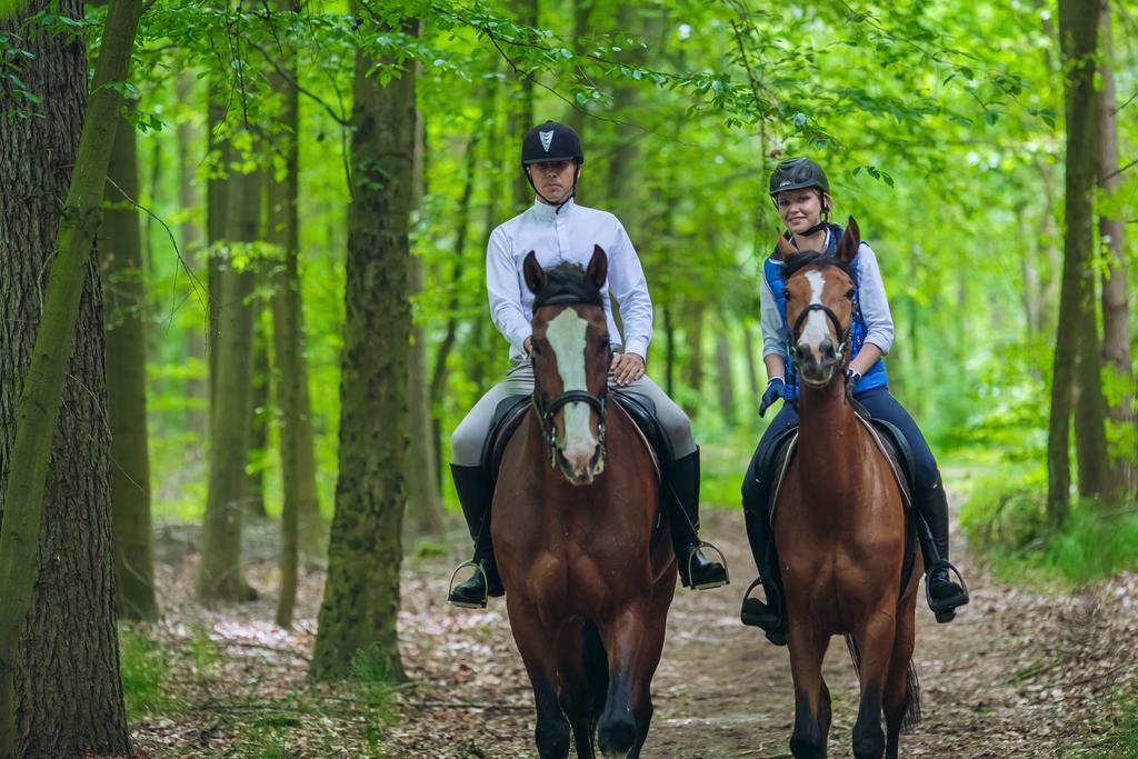 Hubertus Aparthotel & Restaurant & Horse Club Starogard Gdański Cameră foto